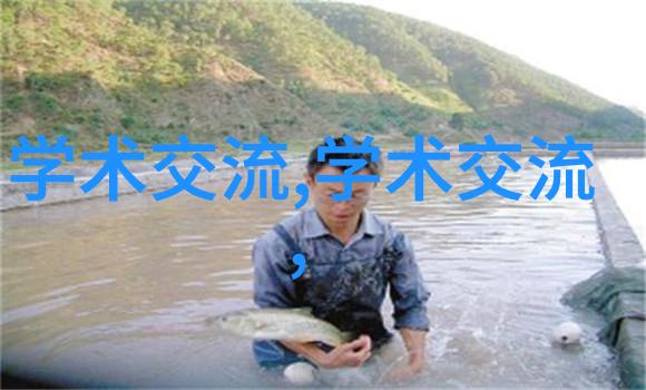 自动化输送设备-高效智能自动化输送设备如何优化物流运作