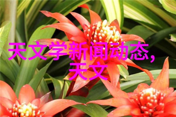 中国汽车配件网app一站式汽车配件购物平台