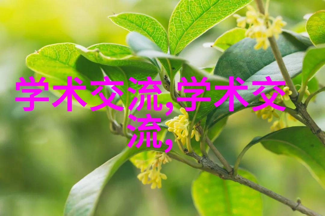 化学工艺的精妙催化剂生产设备的奇迹之作