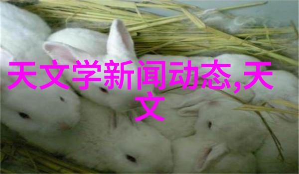 高端别墅定制装修奢华家居设计