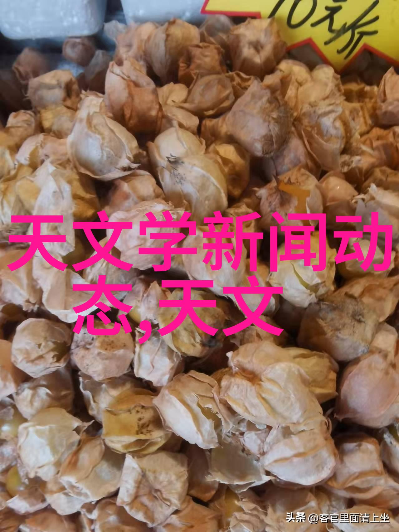 清新呼吸工业废气处理器的重要性与创新技术