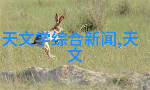 水质检测标准之谜揭秘净水器的清洁度底线