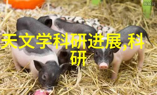 深圳装修设计创意空间的艺术体现
