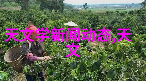 欧式风情的家居空间温馨与奢华的完美结合