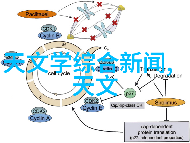 自动喷漆系统高效智能化车身装饰技术