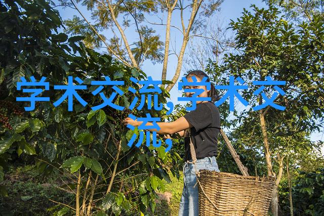 虚拟现实技术的奇迹沉浸式体验新纪元