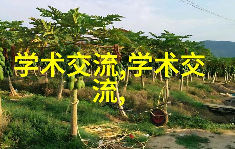 中国石化股份股票的盈利能力对其股票表现有何影响