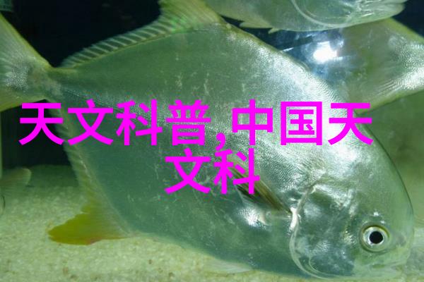 化工片剂机械-探索未来制药工业的发展趋势