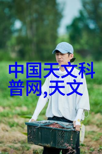 旋涡净化离心过滤机的无声守护者