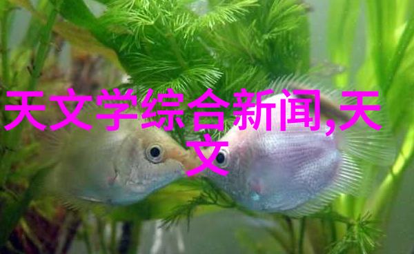 环境净化设备我是如何用智能空气净化器让家里变得清新如初的