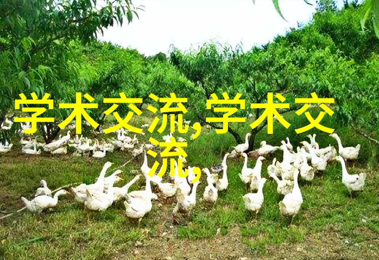 三瓣六瓣填料安装指南详细的装饰填充技巧