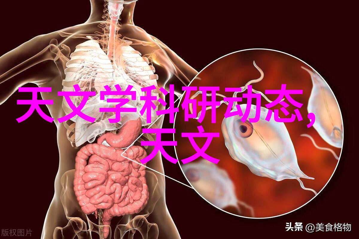 免费职业性格测试揭秘你的最佳职业匹配