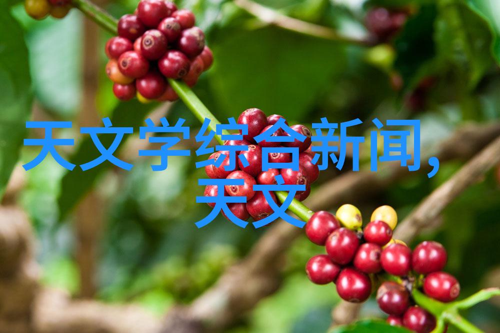 户外装饰-玻璃雨棚温馨庭院的明亮守护者
