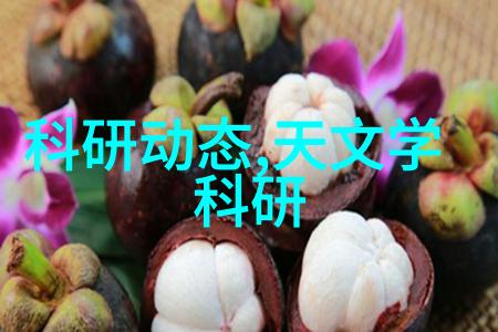 PE管件价格最新动态