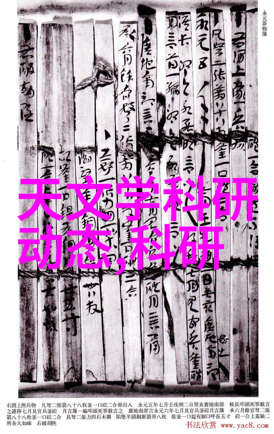 总氮测定仪精确分析农田肥力之关键