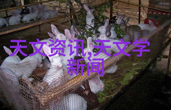 100平米小三居装修 - 精巧布局如何在100平米内打造完美的三室一居空间