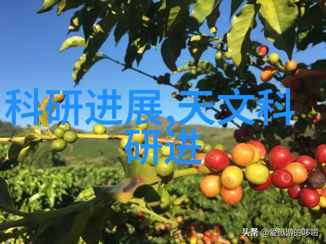 PE管与PE法兰接头的焊接技术有哪些关键点