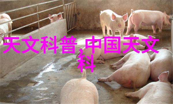 湖南现代物流职业技术学院培养行业翘楚的物流人才