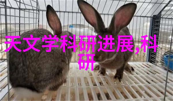 东富龙制药设备-精准制造东富龙制药设备的技术革新与行业影响