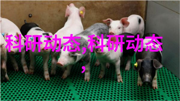 医疗纯化水设备确保清洁与效率的双重保障
