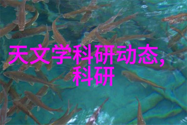广西财经学院-广西财经学院培育金融精英的殿堂