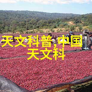115度灭菌与121度灭菌两种温度下的生死之战哪一种更能打败细菌的顽强