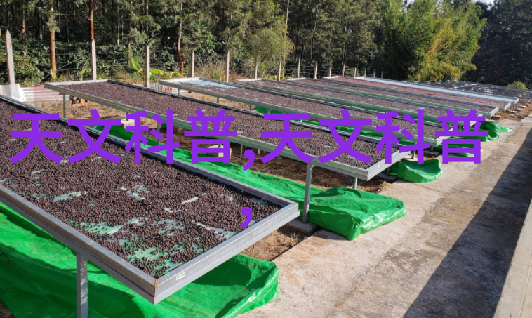 高压蒸汽灭菌锅的类型-剖析不同材质高压蒸汽灭菌锅的选择与应用