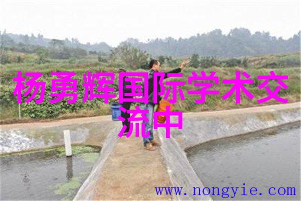探索未来可行性研究报告的未知领域