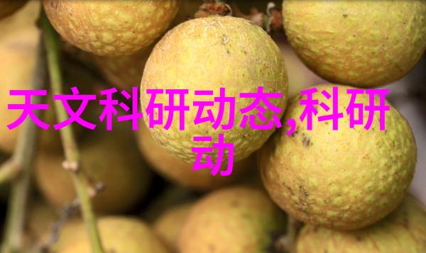 二手泥石分离机高效节能的环境保护设备