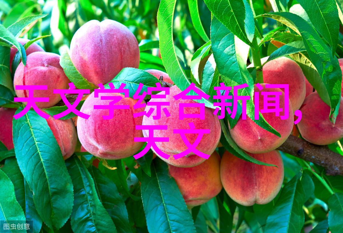 丝网填料与波纹填料在材料成型中的应用研究比较分析及其未来发展前景