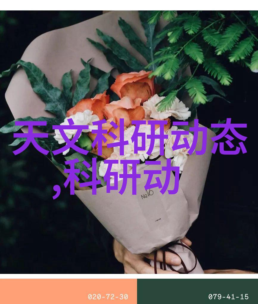 智能交通系统我是如何利用智慧之眼让通勤更顺畅的