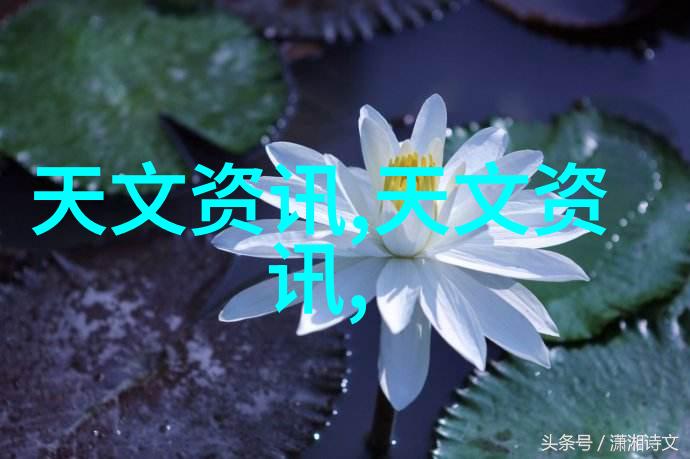 政府政策对97年度水电工程投入资金的影响研究