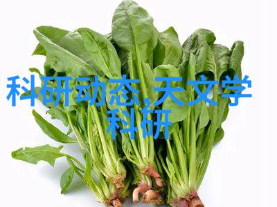 小型活性炭生产设备我来告诉你如何在家轻松做出自己的活性炭