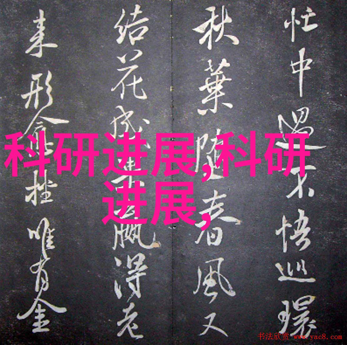 化工过滤设备精密分离安全稳定
