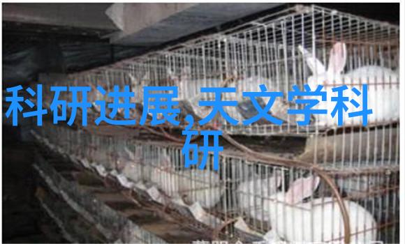 净化饮食追求纯净的饮食生活