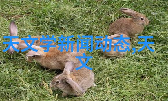 食品安全新星辐照杀菌设备的革命性应用
