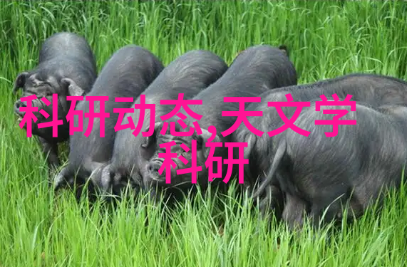 免费装修设计让您的家居梦想成真