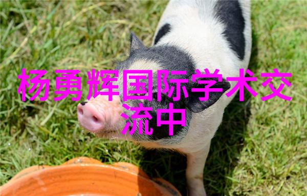 全自动一体化废水处理设备环保技术的新亮点