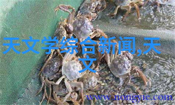 轻盈翱翔泡沫板的幻想之旅