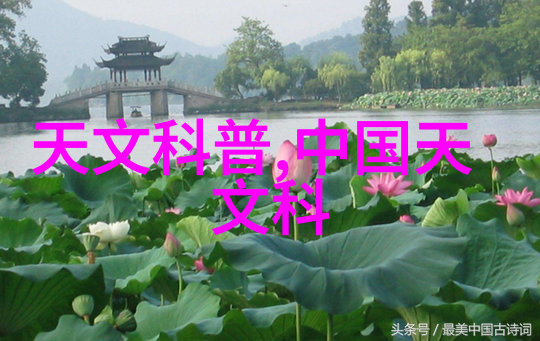 深入探究消杀公司的业务范围从日常清洁到专业防疫
