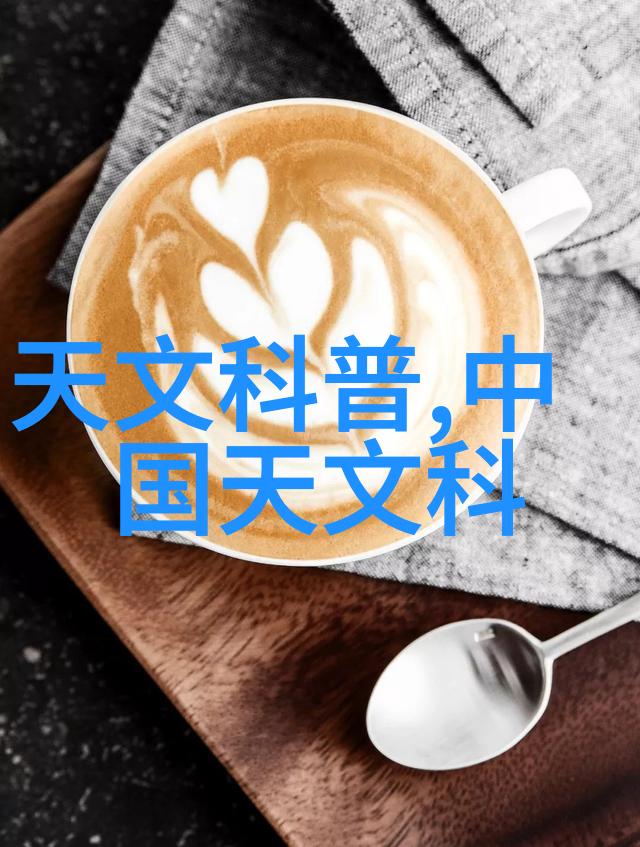 国产半导体新星领航者与挑战