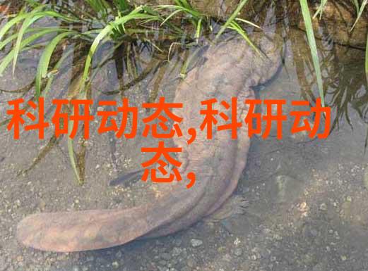 主题我是如何用软化水处理设备让家里的水变得甜美的