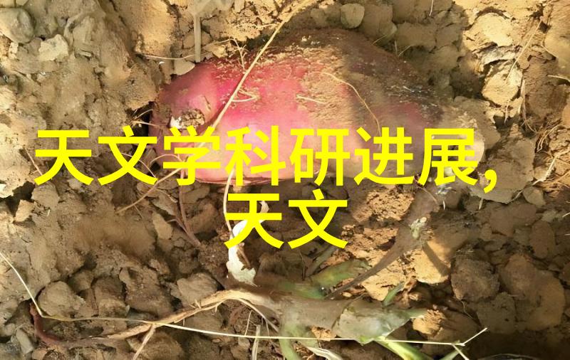 冷气贮藏设备我家里的宝藏