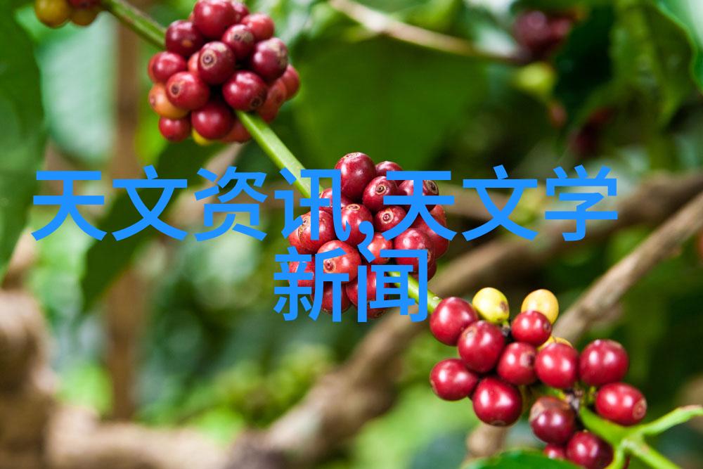 真空机的奇妙世界探索其工作原理与应用前景
