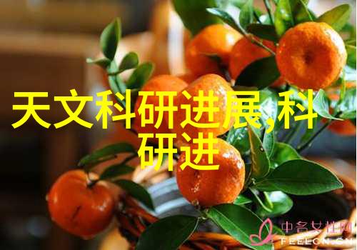 滨州矩鞍环陶瓷化工填料创新材料的应用与未来发展前景