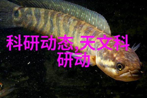 不锈钢制造的核心要素探索材料之谜
