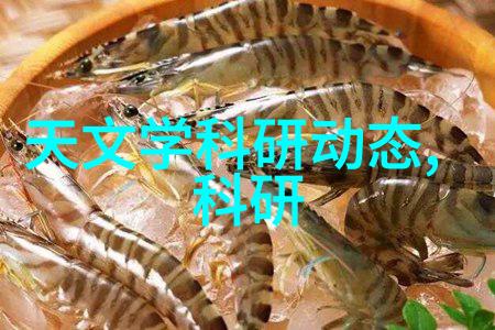 宫廷生活-太子妃的娇宠日常绸缪与珍爱
