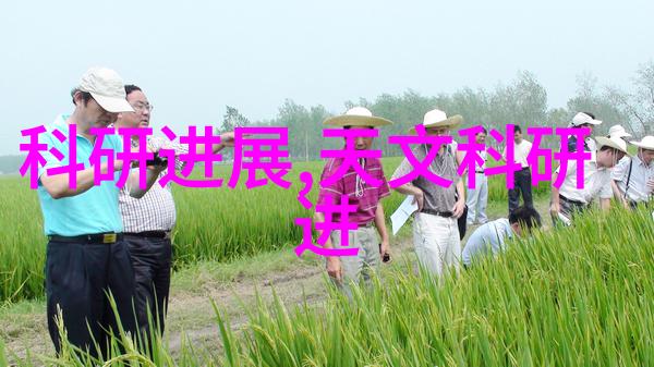 pe料型号大全及使用建议提高产品性能与寿命