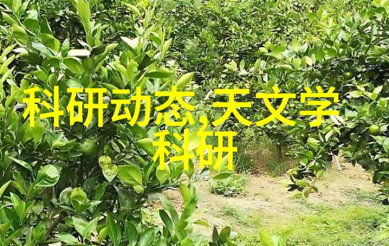 三安光电股票追踪三安光电LED行业的增长引擎与投资潜力