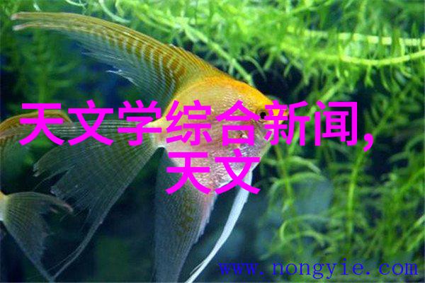深圳技术大学创新引领未来科技发展的学术殿堂